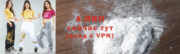твердый Новозыбков
