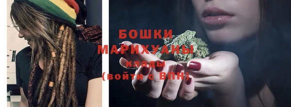 стаф Новокубанск