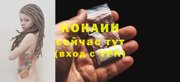 соль курить ск Новодвинск