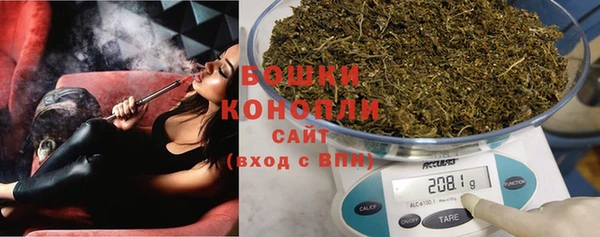 стаф Новокубанск