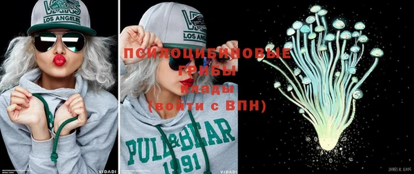 стаф Новокубанск