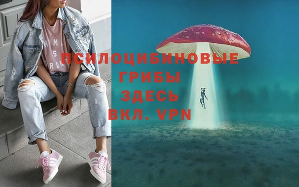 твердый Новозыбков