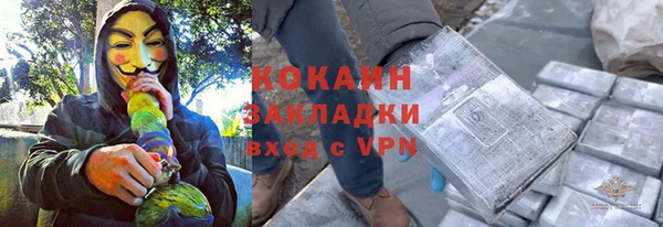 твердый Новозыбков