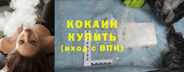 твердый Новозыбков