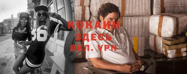 соль курить ск Новодвинск