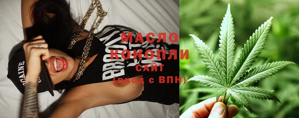 твердый Новозыбков